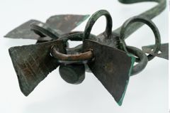 Foto von Bronzeachsnagel (NHMW-PRAE-025272)